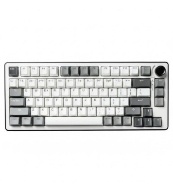 Clavier gaming G-LAB KEYS ELITE 300 TKL RGB SANS FIL  - Blanc et Gris