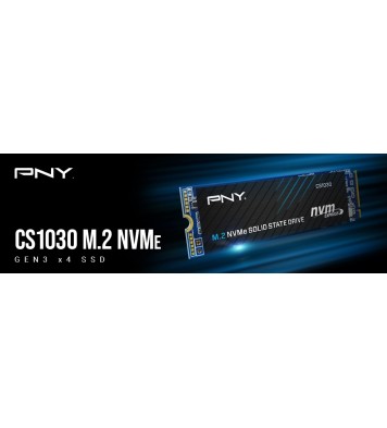 Disque Dur Interne SSD M.2 NVME PCIe PNY CS1030 / 1 To
