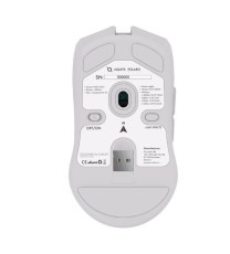 Souris Gamer Sans Fil AQIRYS POLARIS RGB – Blanc
