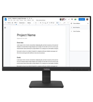 Ecran Lenovo Thinkvision S22-4e 21.5'' FHD 100Hz IPS Noir