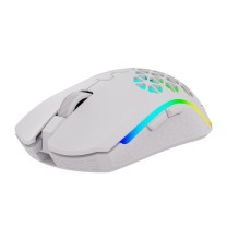 Souris Gamer Sans Fil AQIRYS POLARIS RGB – Blanc