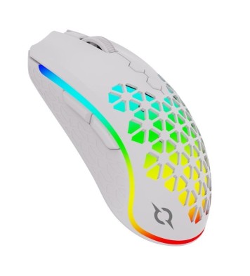 Souris Gamer Sans Fil AQIRYS POLARIS RGB – Blanc